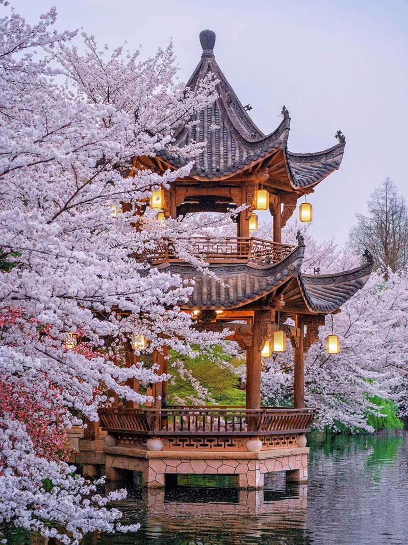 hang-chau hang-chau