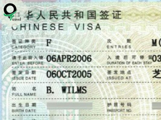Visa giao lưu - ký hiệu F